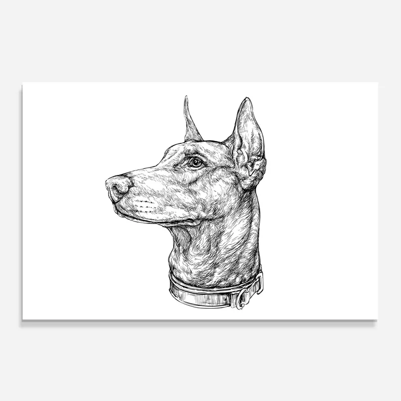 Küchenrückwand Glas Dog Drawing Line Direkt Vom Hersteller
