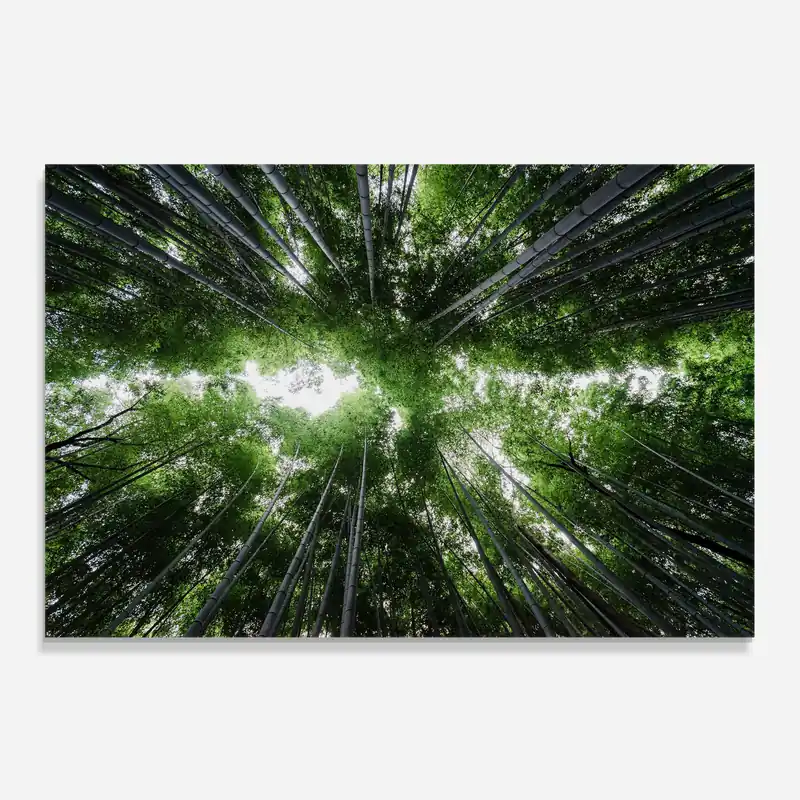 Neue Kollektion Küchenrückwand Glas Green Trees Forest