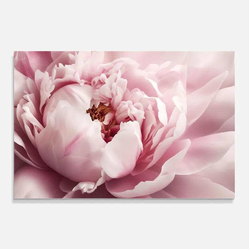 Küchenrückwand Glas Pastel Peony Petals Saisonangebot