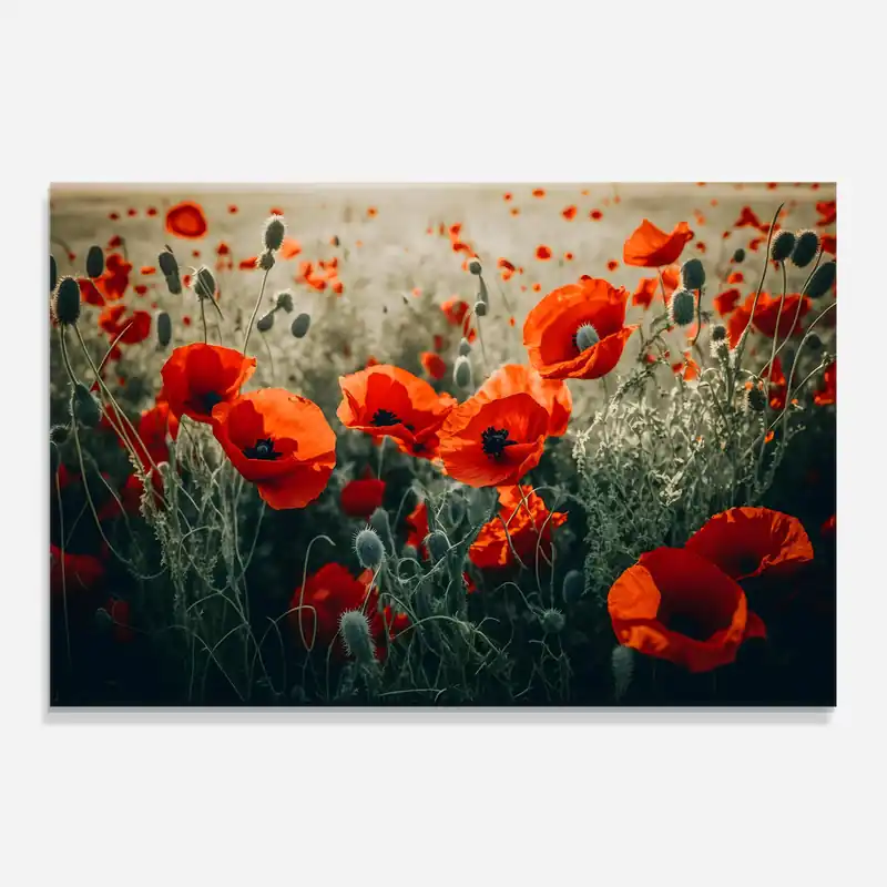 Abverkauf Küchenrückwand Glas Poppy Grass Field