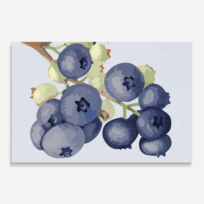 Sichere Zahlung Küchenrückwand Glas Blueberries Art