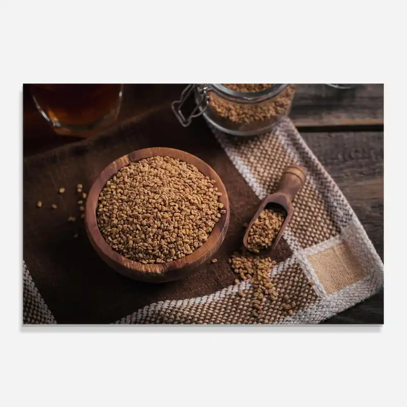 Abverkauf Küchenrückwand Glas Dry Seeds