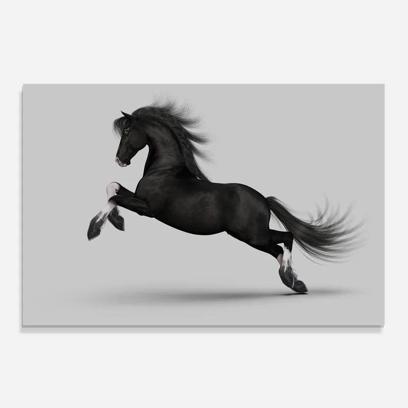 Küchenrückwand Glas Black Horse Galloping Preisreduziert
