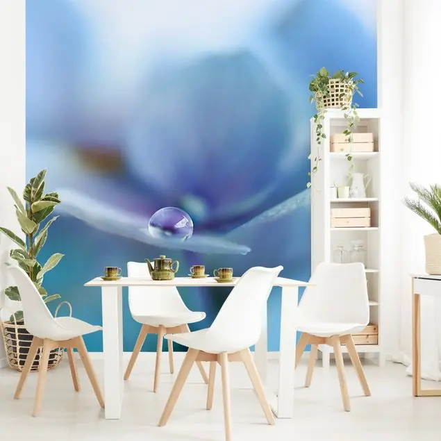 Preiswert Wassertropfen Hortensienblüte Fototapete • Vliestapete + Kleister • hergestellt in Deutschland