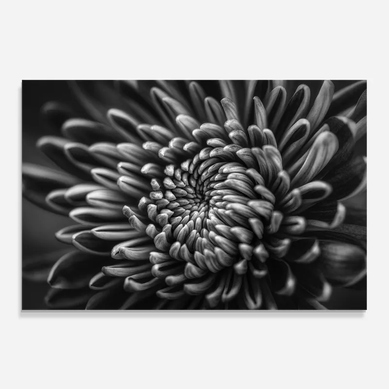 Preisknaller Küchenrückwand Glas Grey Flower