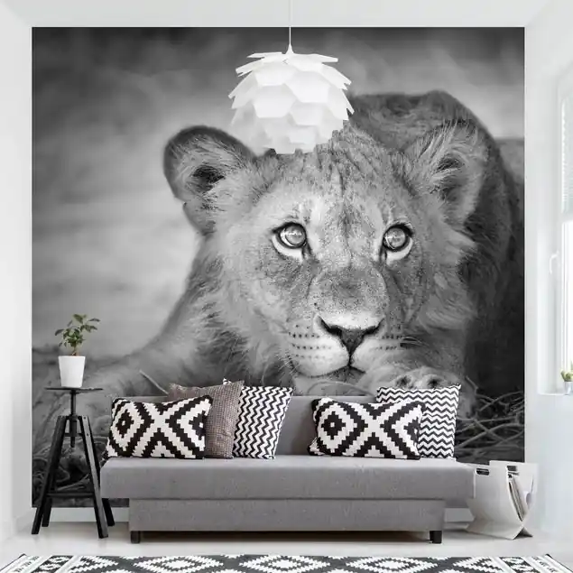 Sonderangebot Lurking Lionbaby Fototapete • Vliestapete + Kleister • hergestellt in Deutschland