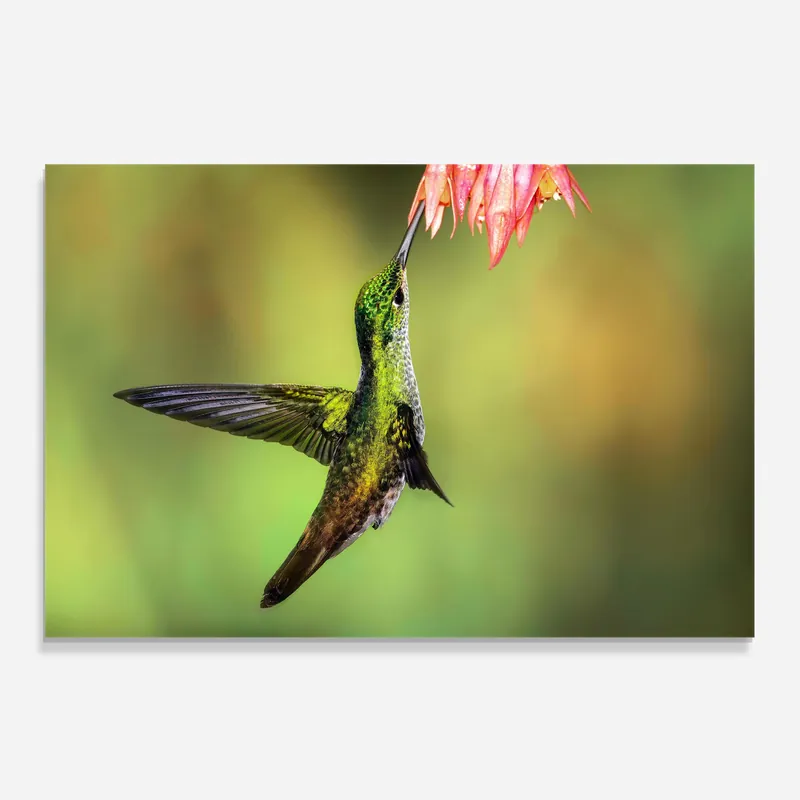 Geprüft Küchenrückwand Glas Wild Bird Flower