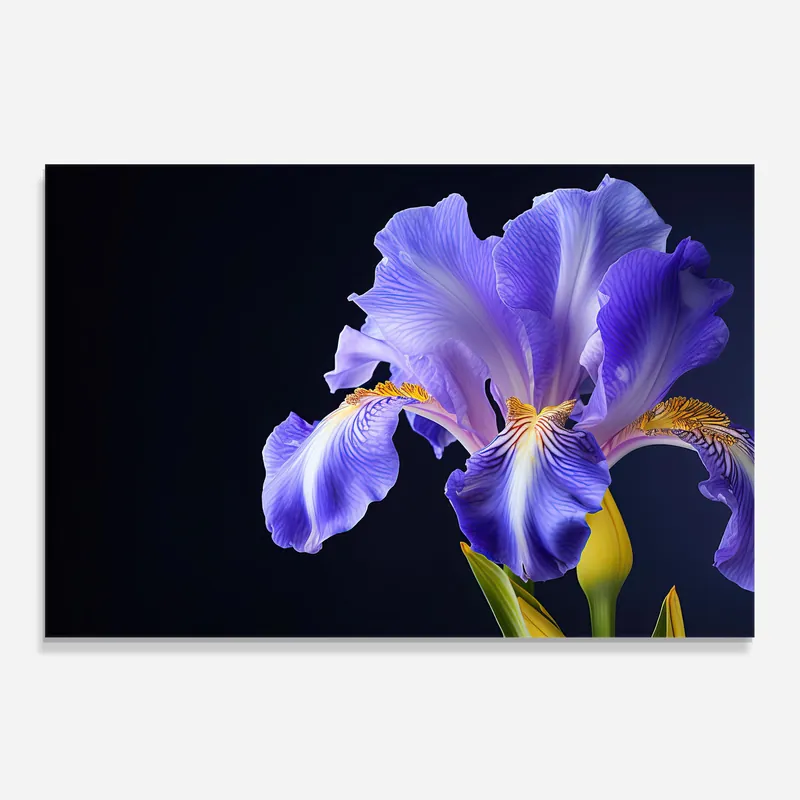 Küchenrückwand Glas Purple Iris On Black Super-Preis