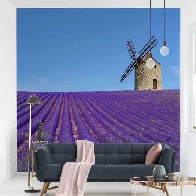Ausverkauf Lavendelduft in der Provence Fototapete • Vliestapete + Kleister • hergestellt in Deutschland