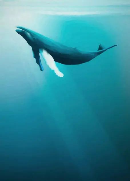 Artsy Humpback Whale Fototapete Expressversand