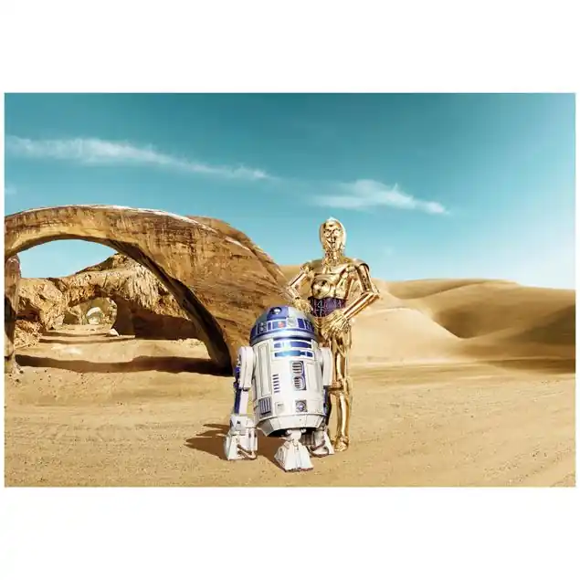 Garantierte Lieferung Star Wars - C-3PO & R2-D2 Tatooine Fototapete