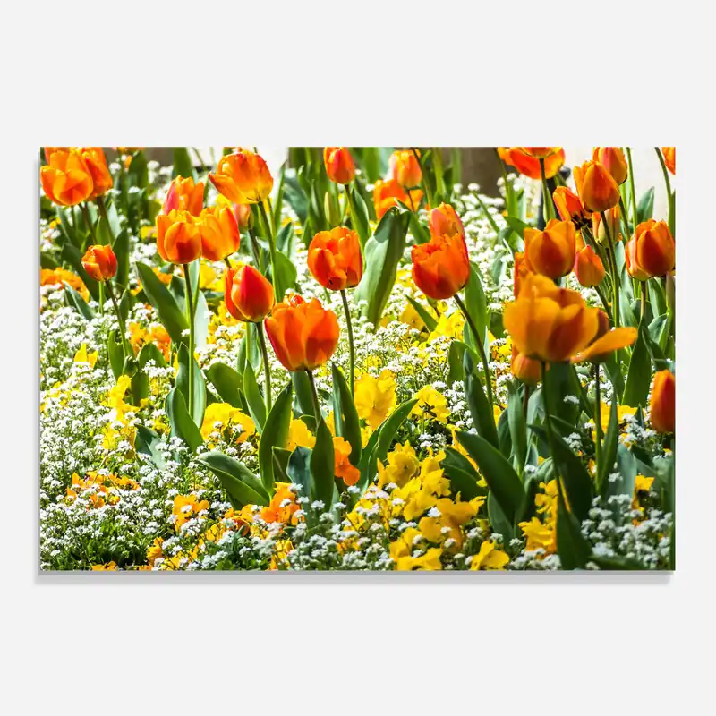 Küchenrückwand Glas Colorful Tulips Garden Neue Ware