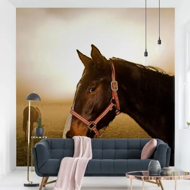 Bestpreis Early Horse Fototapete • Vliestapete + Kleister • hergestellt in Deutschland