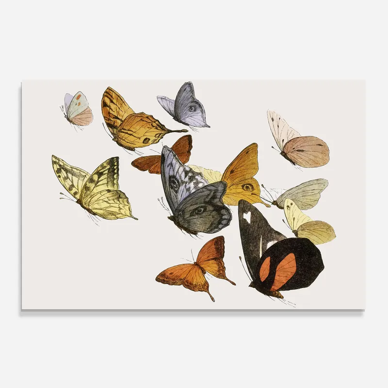 Preisreduziert Küchenrückwand Glas Butterfly Floating