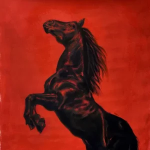 Jetzt Bestellen Libre en rojo
