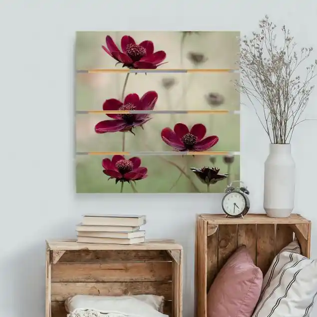 Markenprodukt Pinke Kosmeen
