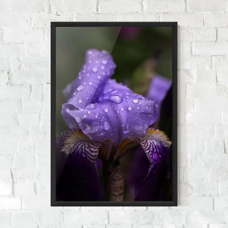 Gerahmte Poster Rain In The Garden Rabatt