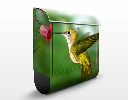 Schneller Versand Kolibri und Blüte Briefkasten