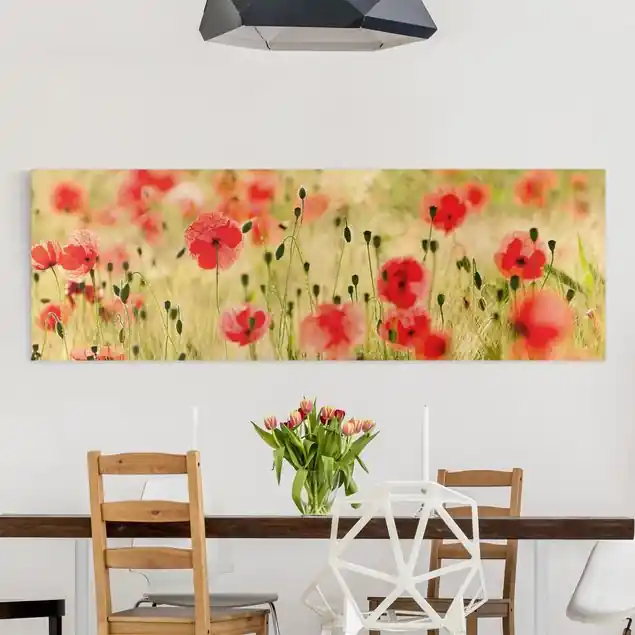 Preisknaller Summer Poppies