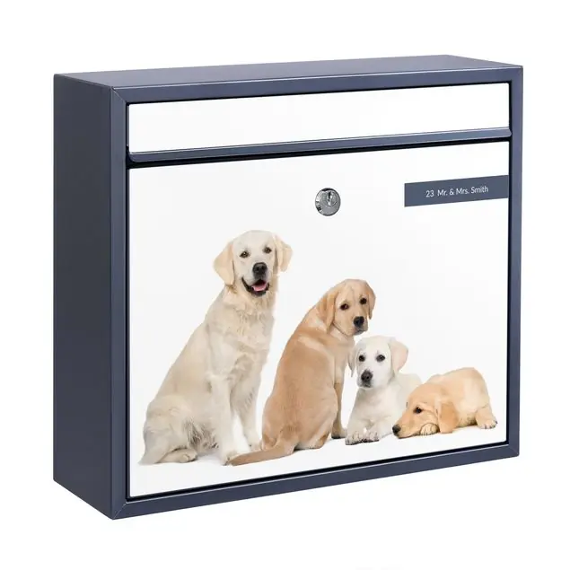 Nur Für Kurze Zeit No.454 Portait of Labradors and Golden Retriever Briefkasten mit eigenem Text