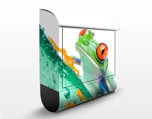 Frog Briefkasten Echt