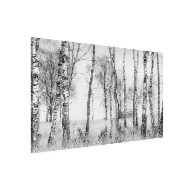 Begrenztes Angebot Mystischer Birkenwald Schwarz-Weiß