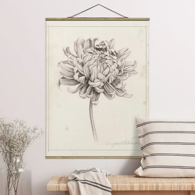 Botanische Studie Chrysantheme I Meistverkauft