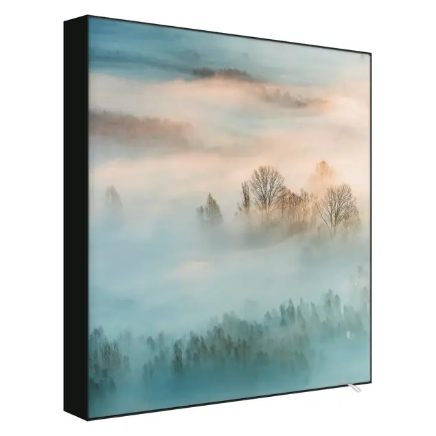 Angebot Nebel bei Sonnenaufgang