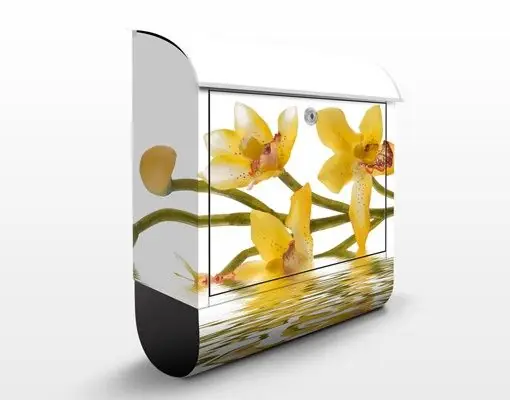 Preisreduziert Saffron Orchid Waters Briefkasten