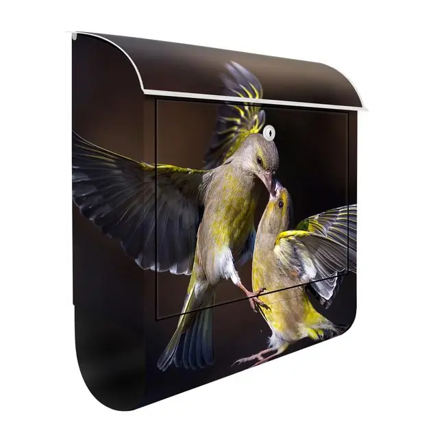 Begrenztes Angebot Küssende Kolibris Briefkasten