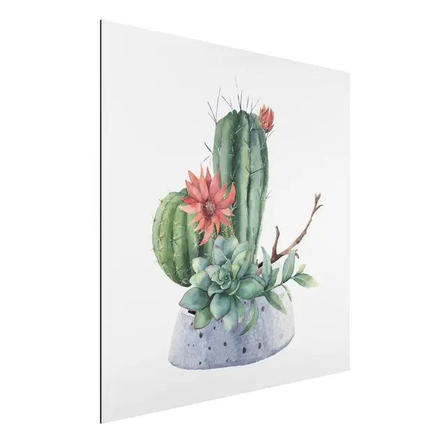 Aquarell Kakteen Illustration Aktuell
