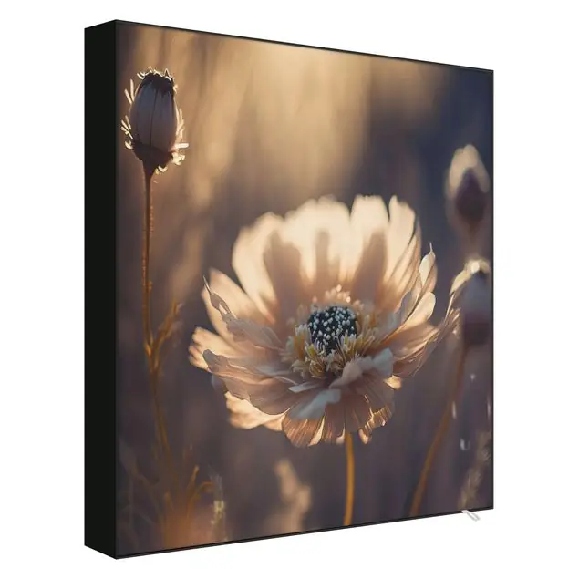 Bestpreis Blüten im Sonnenuntergang