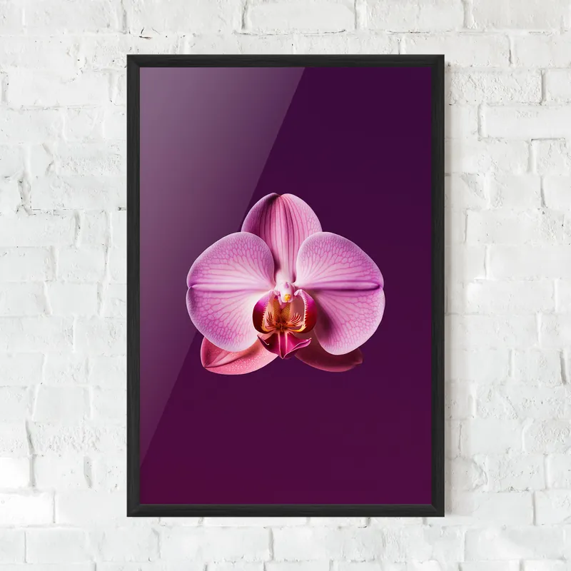 Gerahmte Poster Purple Orchid Direktkauf