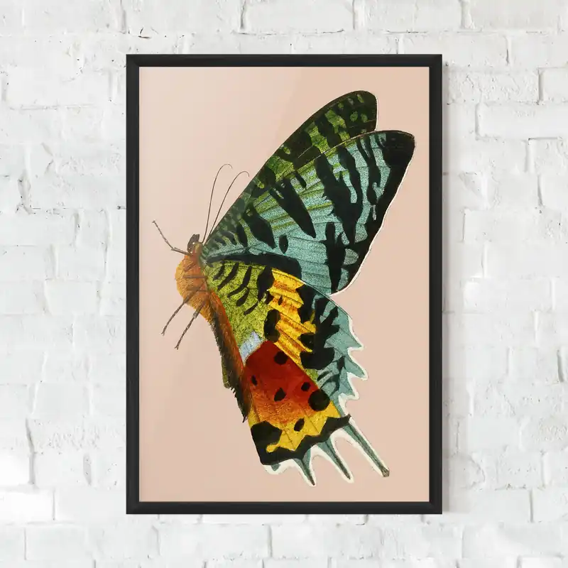 Kostenloser Rückversand Gerahmte Poster Butterfly On Pink
