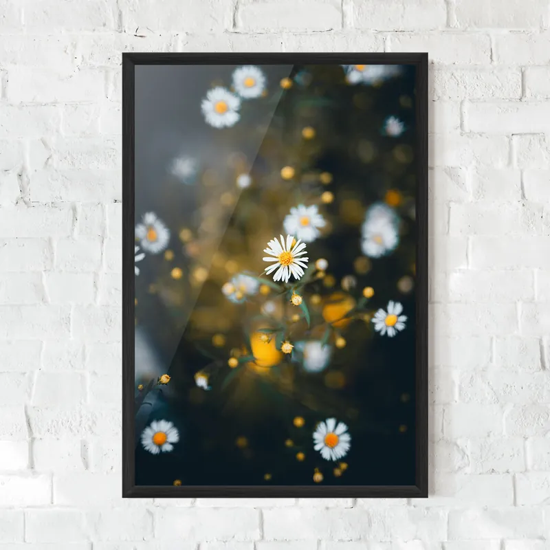 Günstig Gerahmte Poster Small Daisy View