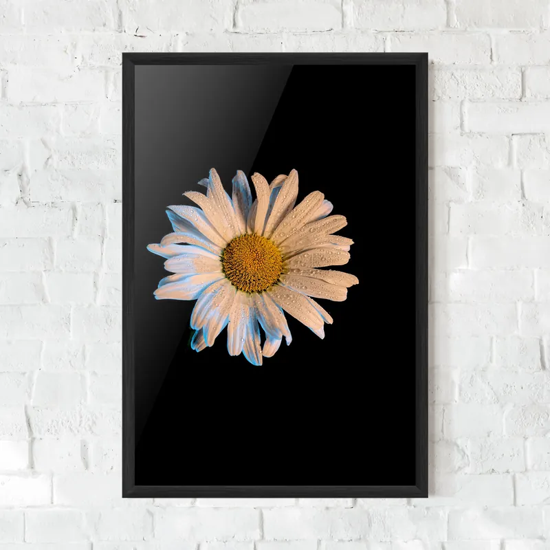 Rabatt Gerahmte Poster Daisy