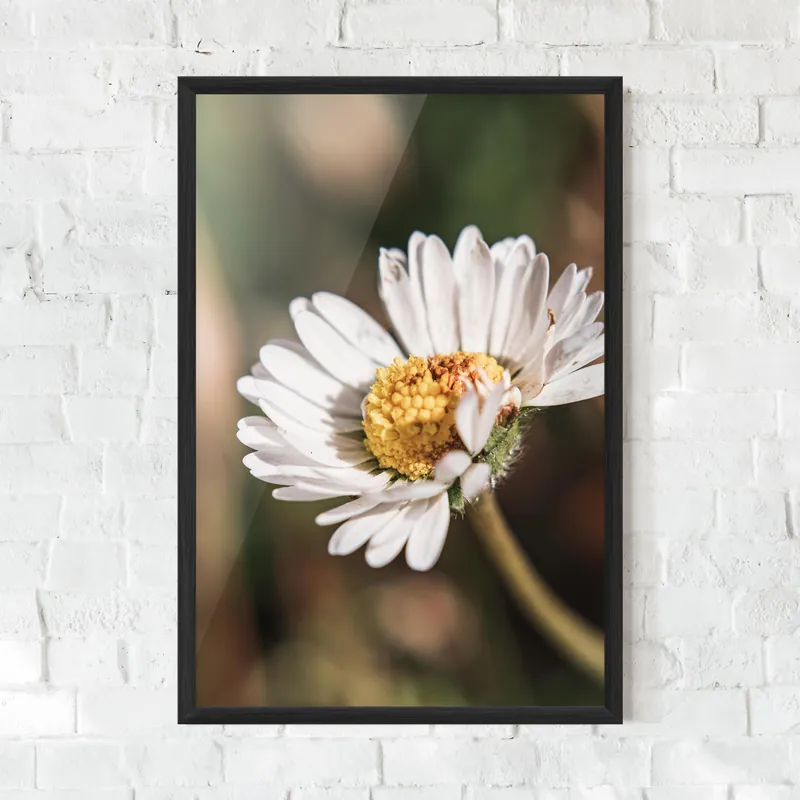 Gerahmte Poster Yellow Pastel Daisy Bestseller