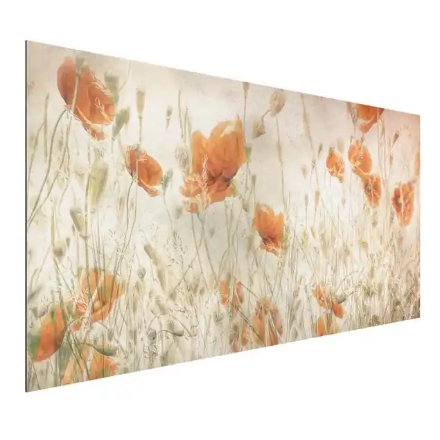 Sichere Zahlung Mohnblumen und Gräser im Feld