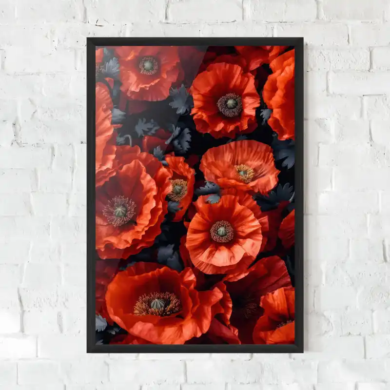 Gerahmte Poster Black Red Poppies Neue Ware