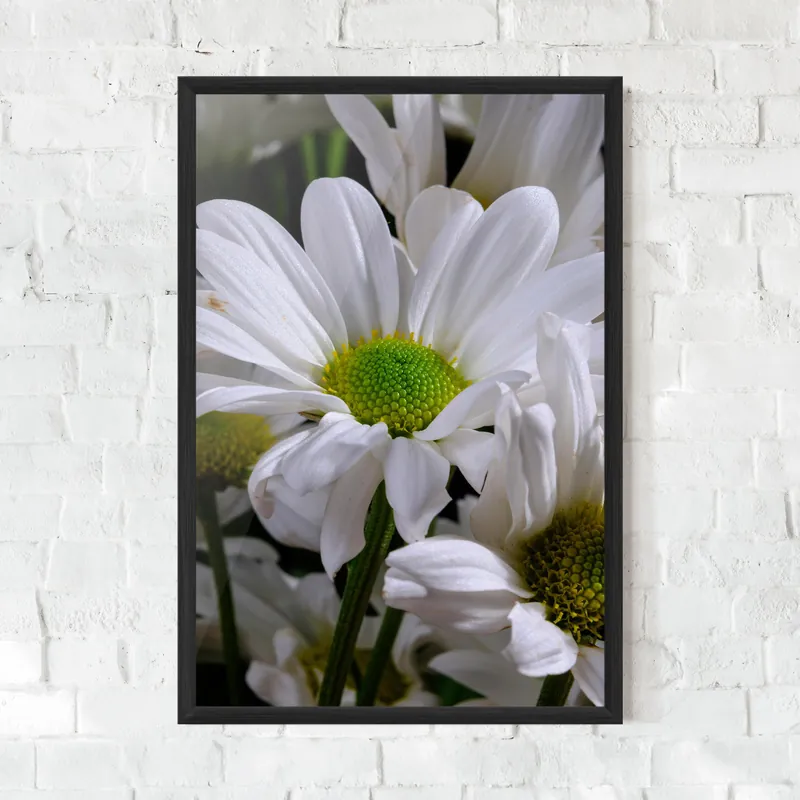 Kostenfreie Lieferung Gerahmte Poster Green Middle Daisy View
