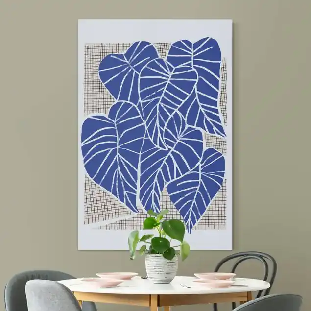 Finale Aktion Alocasia Blätter