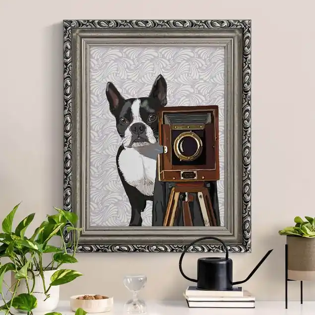 Neue Ware Tierfotograf Terrier