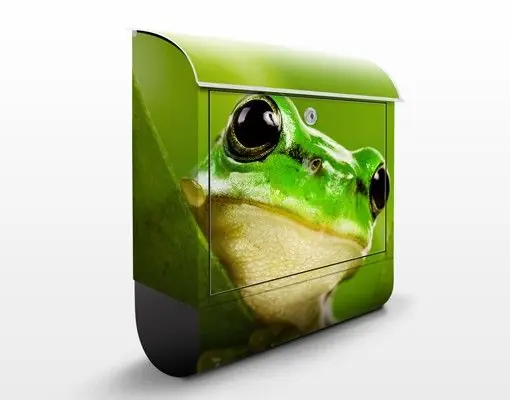 Wetterfrosch Briefkasten Saisonangebot