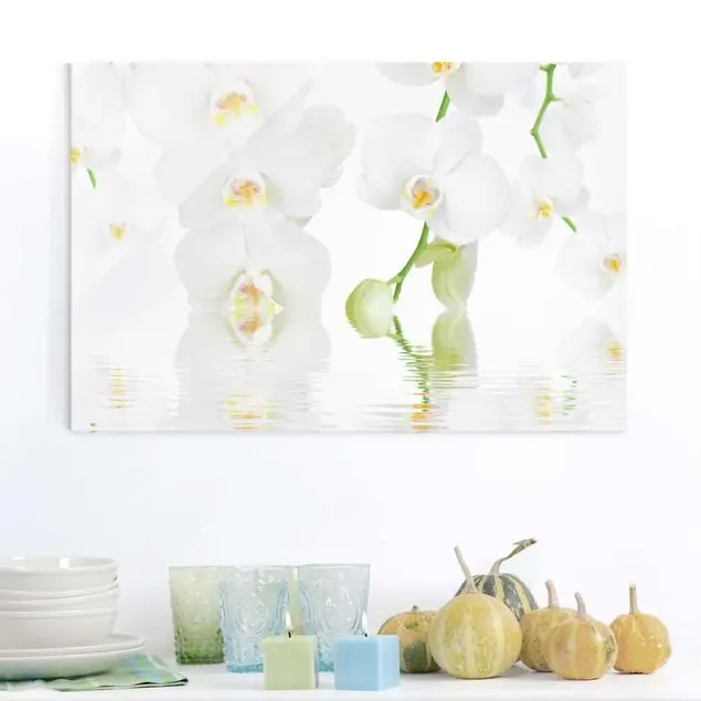 Wellness Orchidee Neue Ware