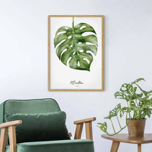 Aquarell Botanik Monstera Beliebt
