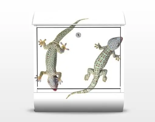 No.250 Neugierige Geckos Briefkasten Gratis Versand
