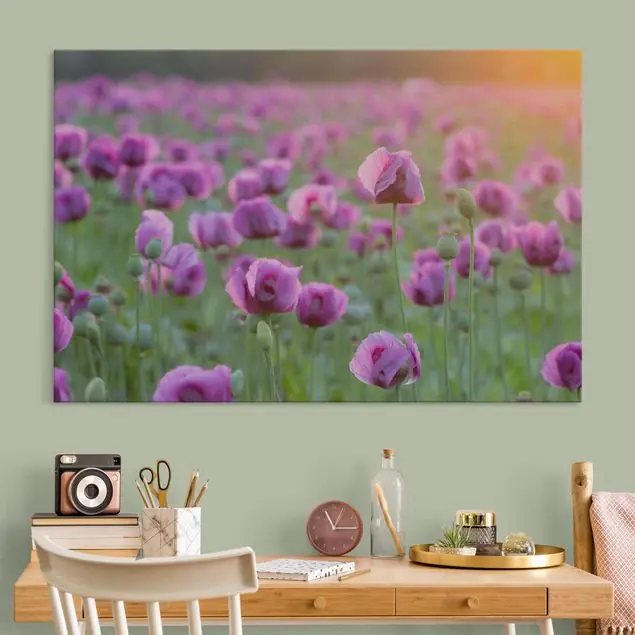 Kostenloser Versand Violette Schlafmohn Blumenwiese im Frühling