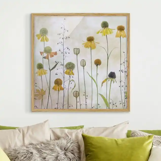 Finale Aktion Zarte Helenium Blüten