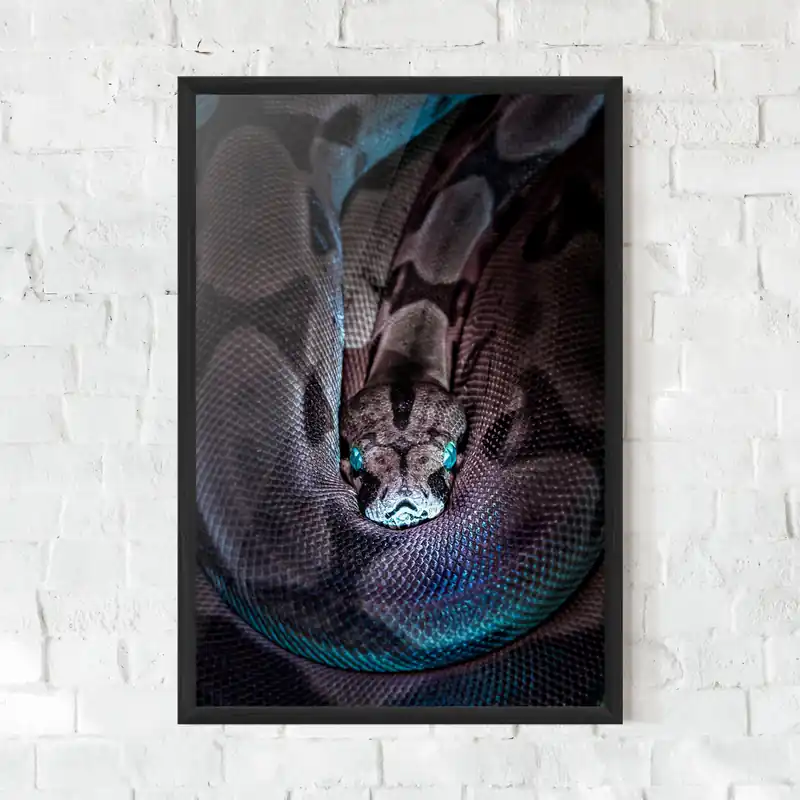 Gerahmte Poster Vibrant Snake Sale