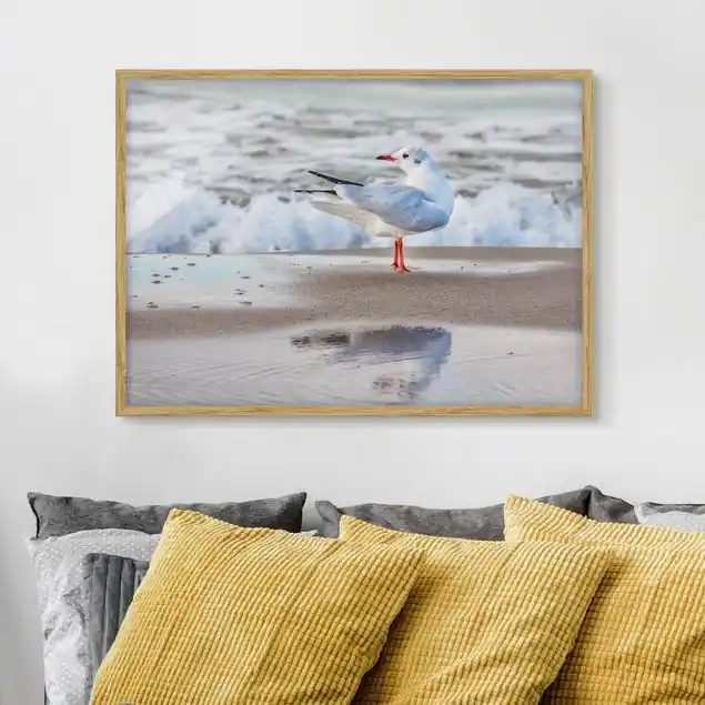 Sale Möwe am Strand vor Meer
